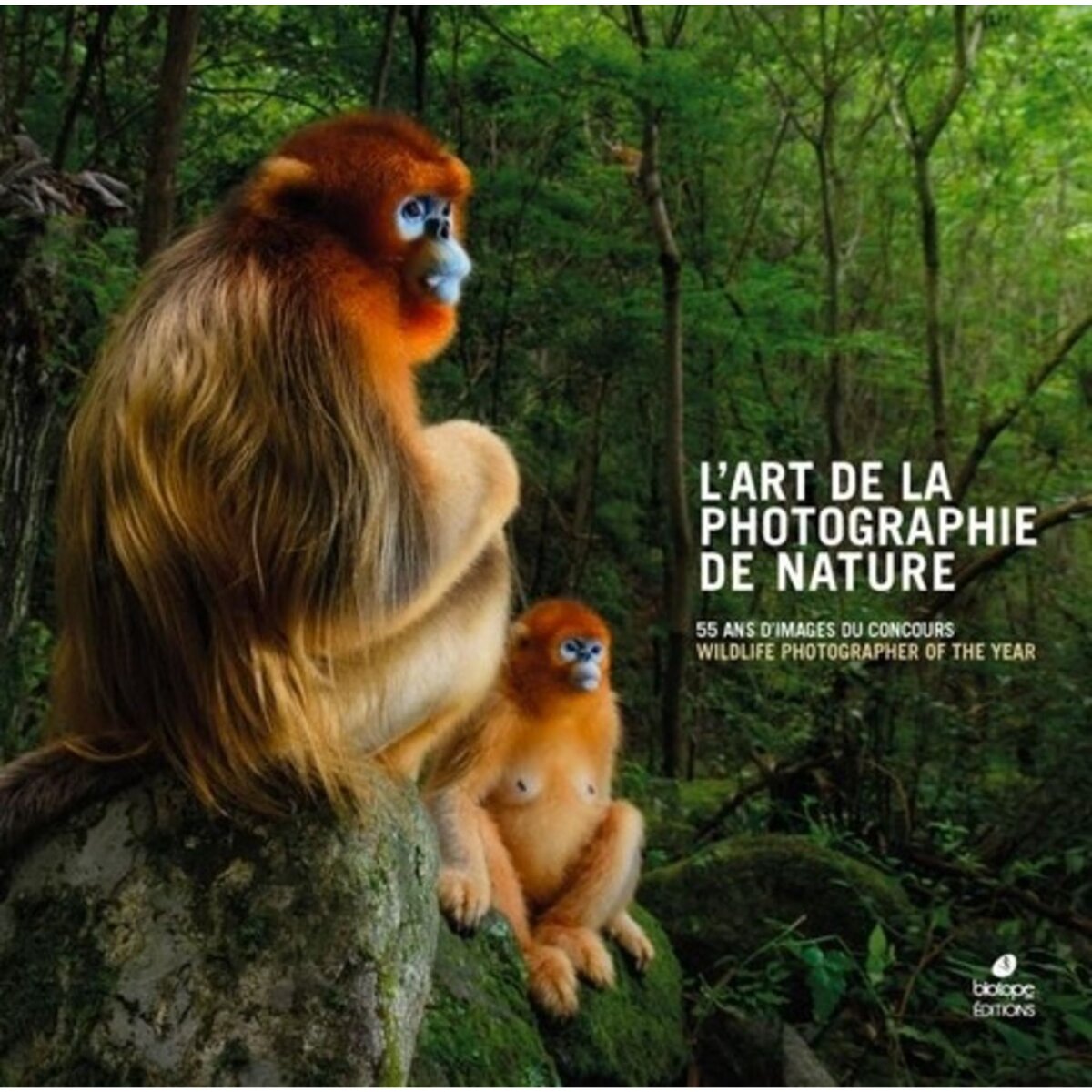  L'ART DE LA PHOTOGRAPHIE DE NATURE. 55 ANS D'IMAGES DU CONCOURS WILDLIFE PHOTOGRAPHER OF THE YEAR, Biotope