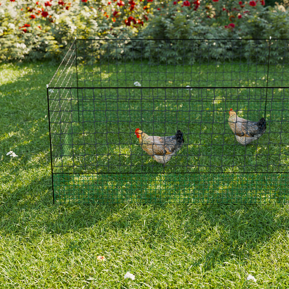 SWEEEK Kit filet  clôtures pour poules avec piquets double pointes, modulable, porte d'accès, sardines incluses