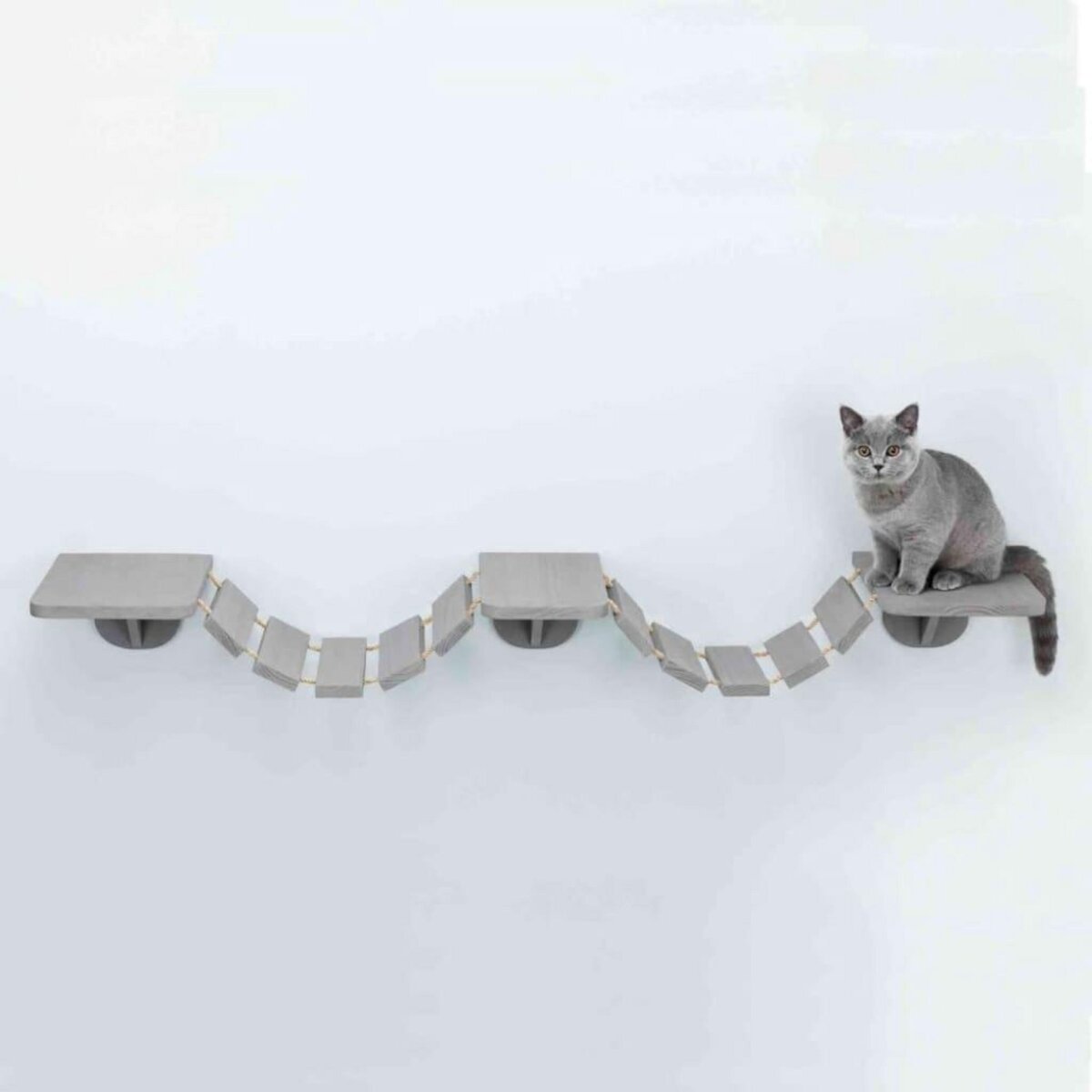 Trixie TRIXIE Echelle d'escalade murale pour chats 150x30 cm Taupe