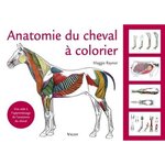 ANATOMIE DU CHEVAL A COLORIER. UNE AIDE A L'APPRENTISSAGE DE L'ANATOMIE DU CHEVAL, Raynor Maggie