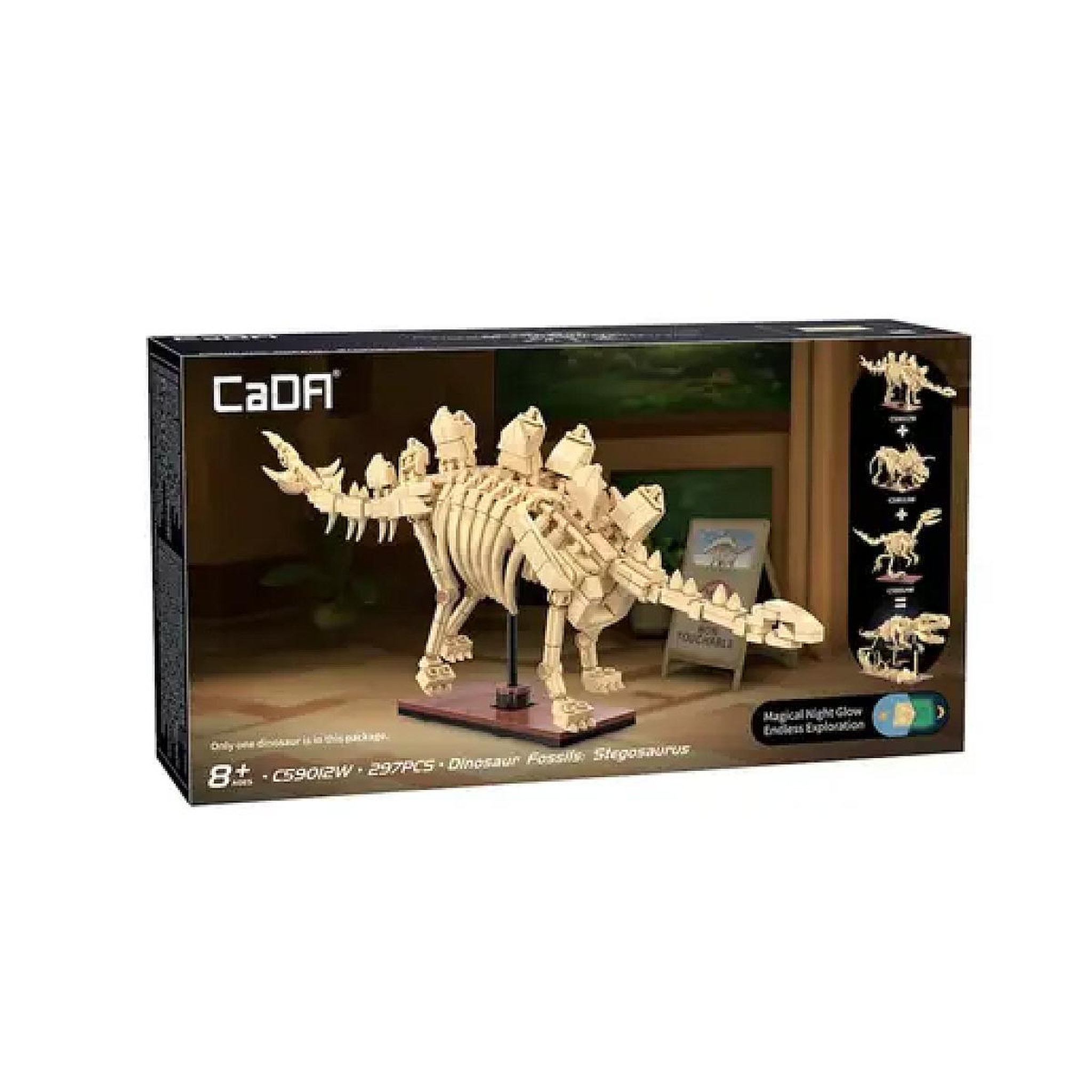 Voir la diapositive 2 : Jamara - CREATIVE - squelette de stegosaurus