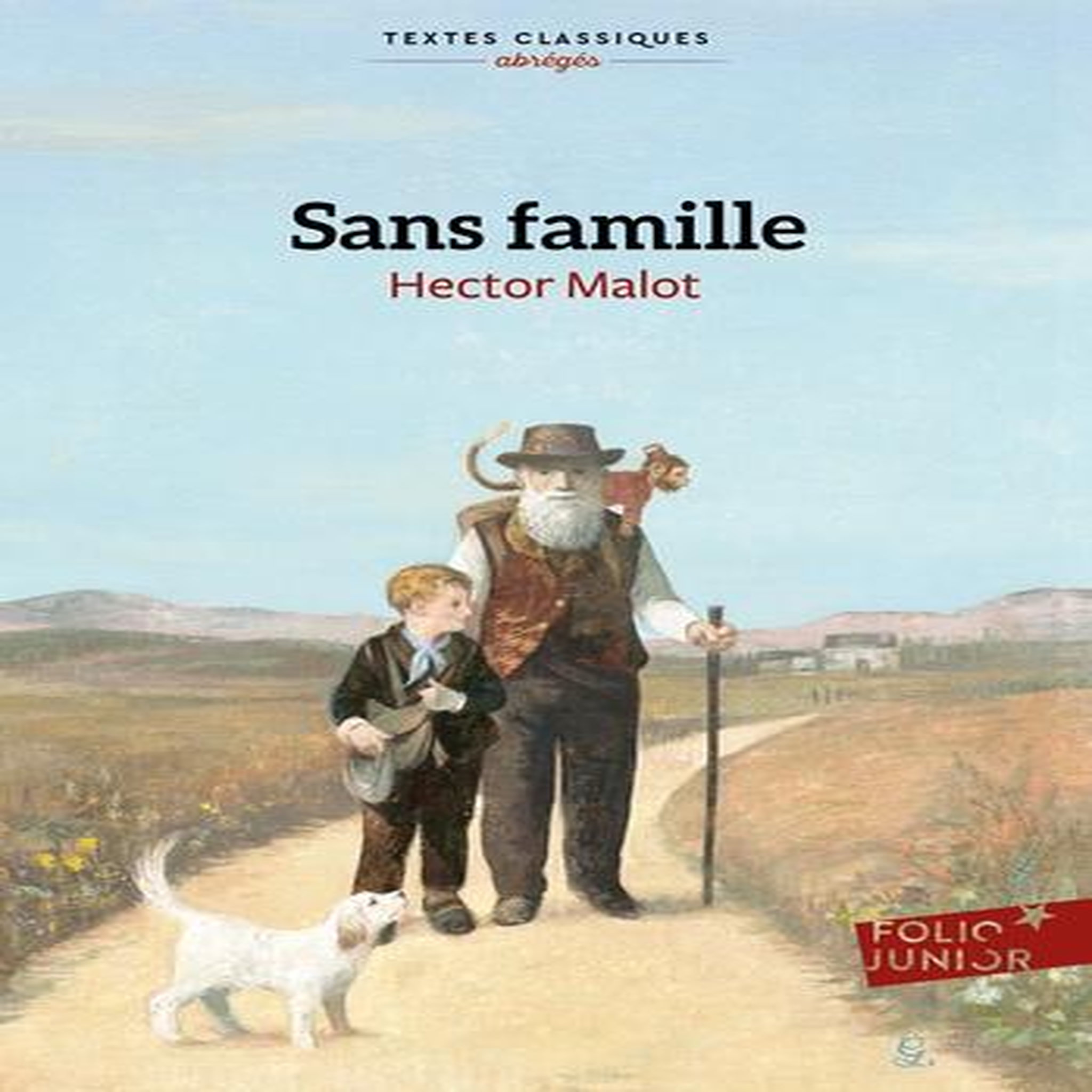 SANS FAMILLE, Malot Hector