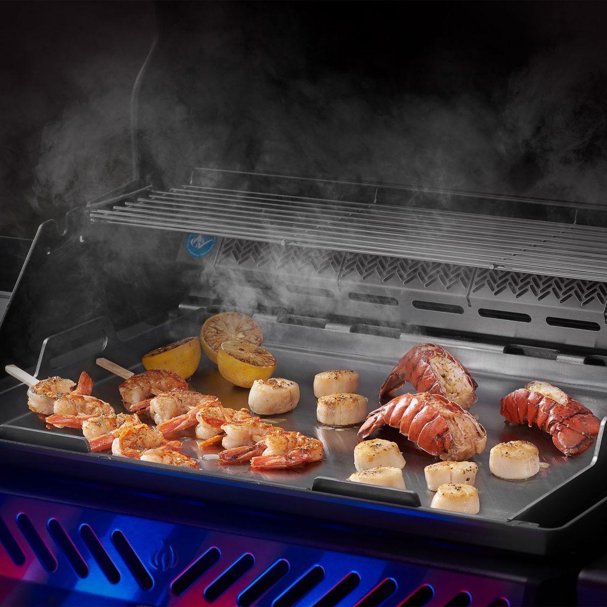 Voir la diapositive 3 : NAPOLEON Plaque Cuisson inox compat. Rogue +Freestyle425