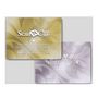 Voir la diapositive 2 : Brother Canvas pour ScanNCut - Pack Premium 2