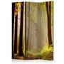 Voir la diapositive 1 : Paris Prix Paravent 3 Volets  Mysterious Forest Path  135x172cm