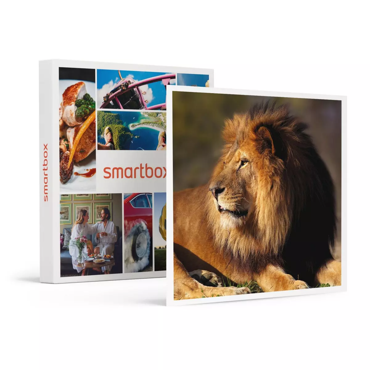 Smartbox Journée fascinante au Parc Zoologique de Paris pour 2 adultes - Coffret Cadeau Sport & Aventure