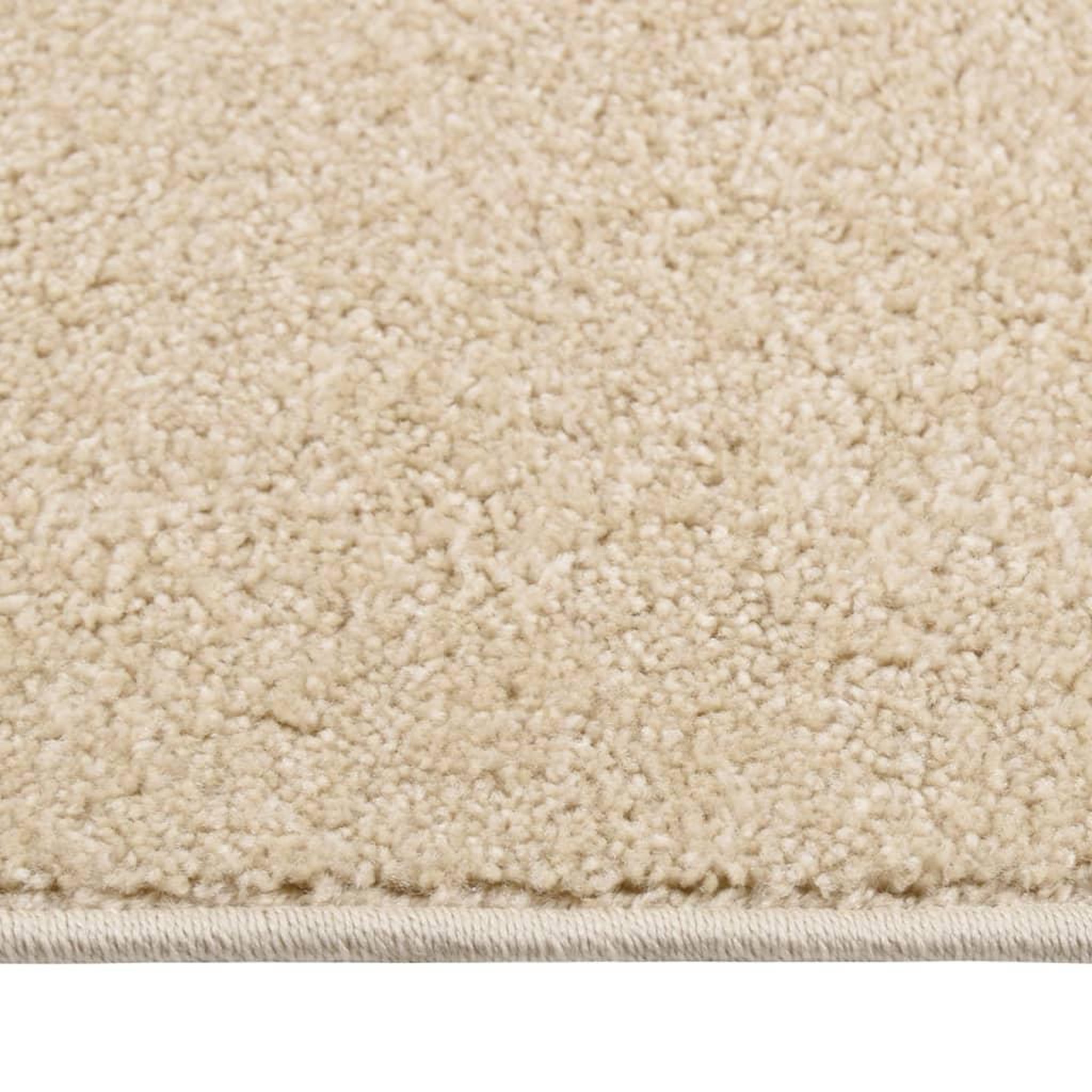 Voir la diapositive 3 : VIDAXL Tapis a poils courts 240x340 cm Beige