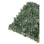 Voir la diapositive 4 : Habitat et Jardin Lot de 6 Clôtures en treillis de saule  Fragon  - 200 x 100 cm - Vert