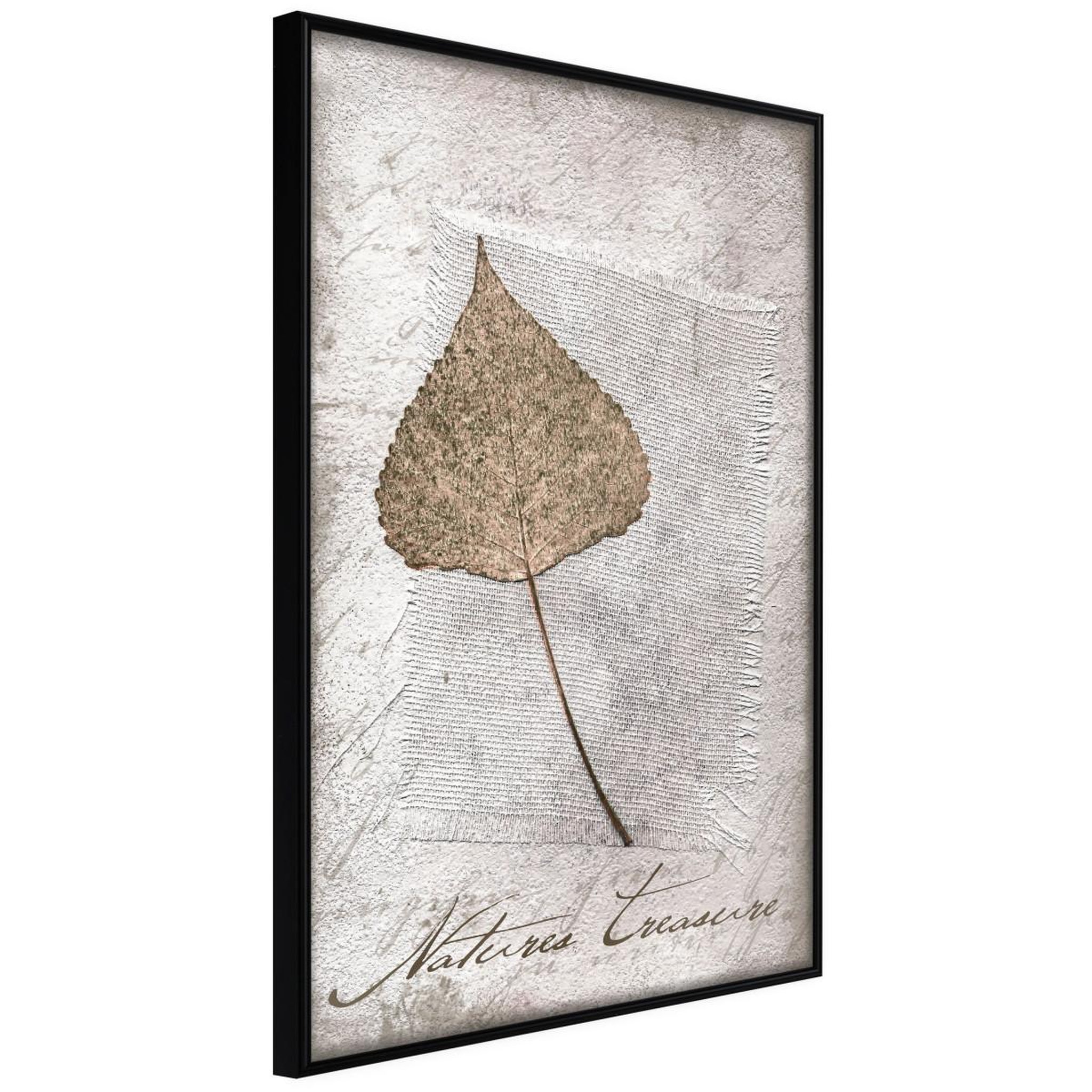 Paris Prix Affiche murale encadrée  dried leaf