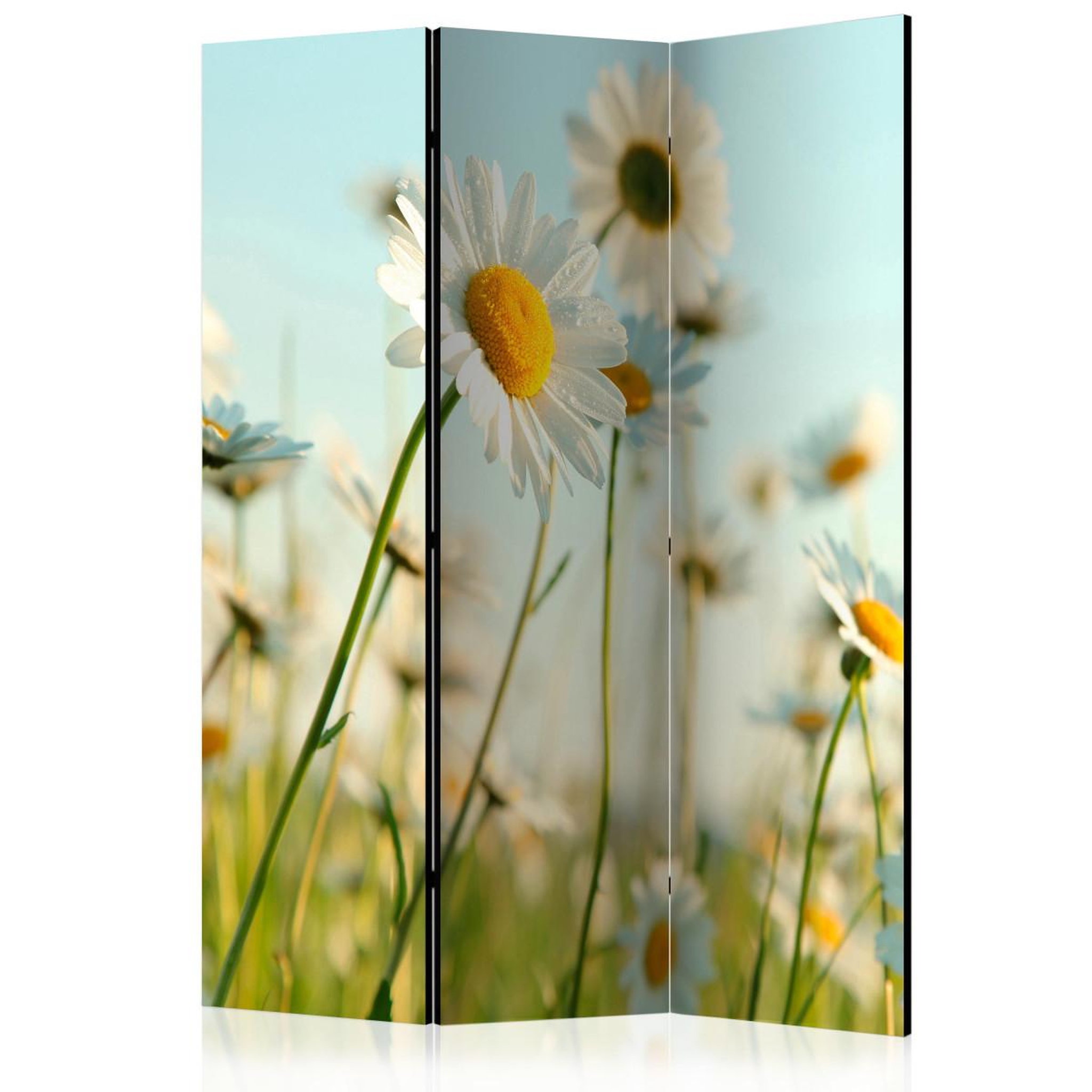 Paris Prix Paravent 3 volets  daisies spring meadow  135x172cm