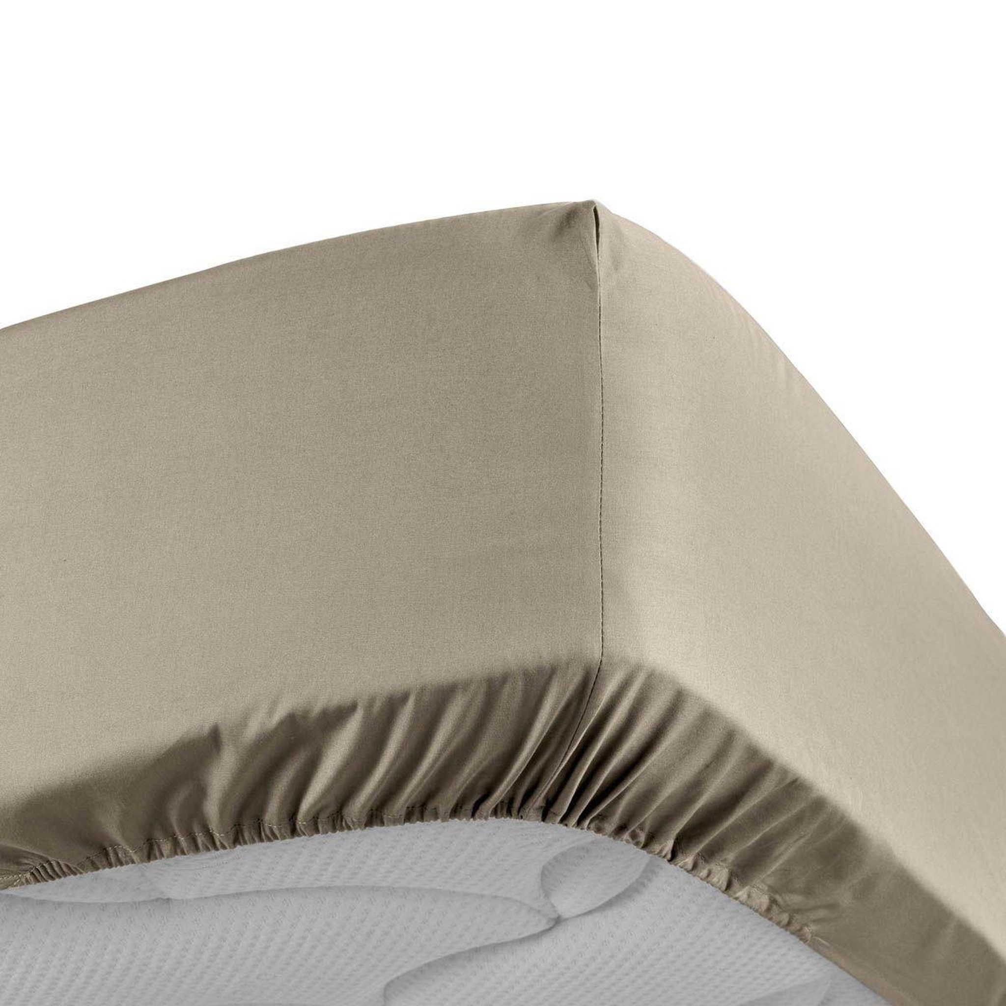 Douceur d'Intérieur Drap housse  percaline  160x200cm sable