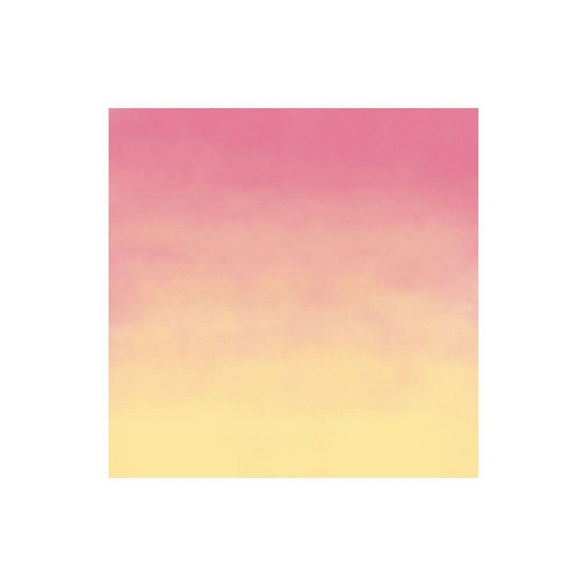 CRICUT Accessoire 2 feuilles papiers transfert limona