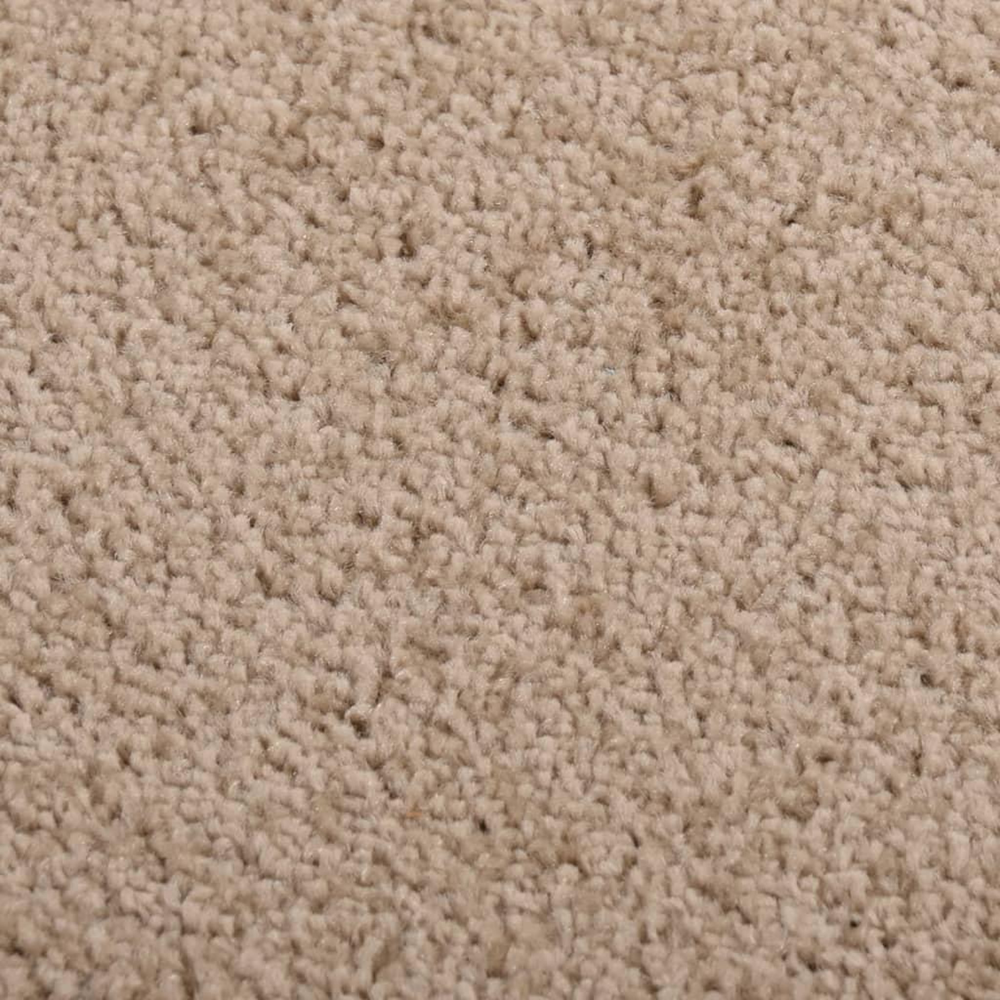 Voir la diapositive 5 : VIDAXL Tapis a poils courts 80x150 cm Marron