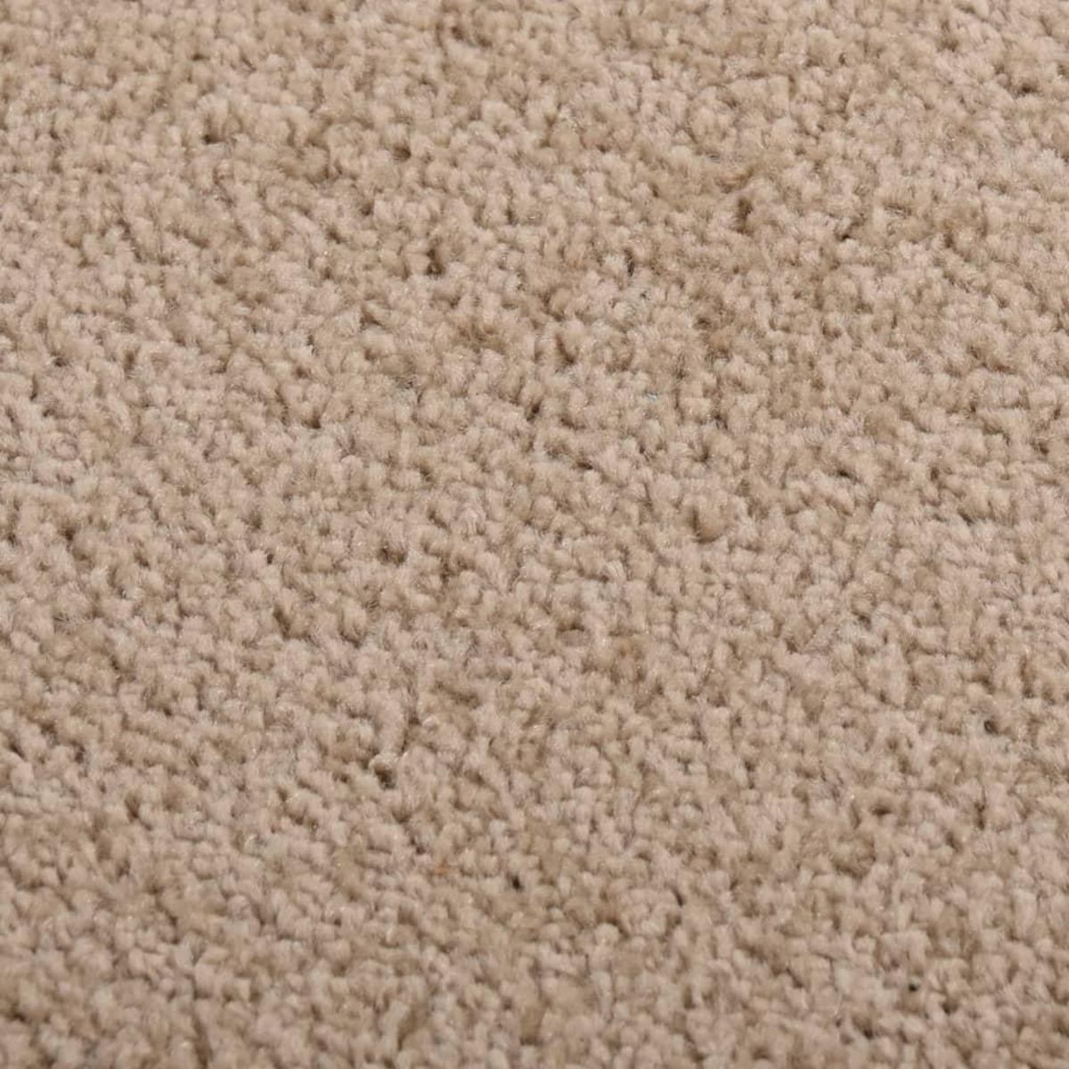 VIDAXL Tapis a poils courts 80x150 cm Marron