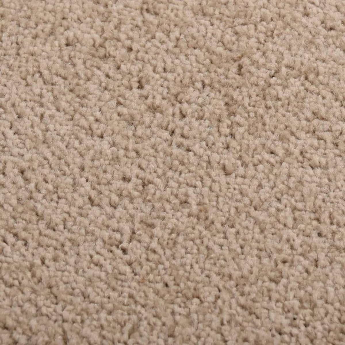 VIDAXL Tapis a poils courts 80x150 cm Marron