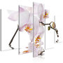 Voir la diapositive 1 : Paris Prix Tableau Imprimé 5 Panneaux  Delightful Orchid Wide