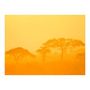 Voir la diapositive 2 : Paris Prix Papier Peint  Orange Savanna