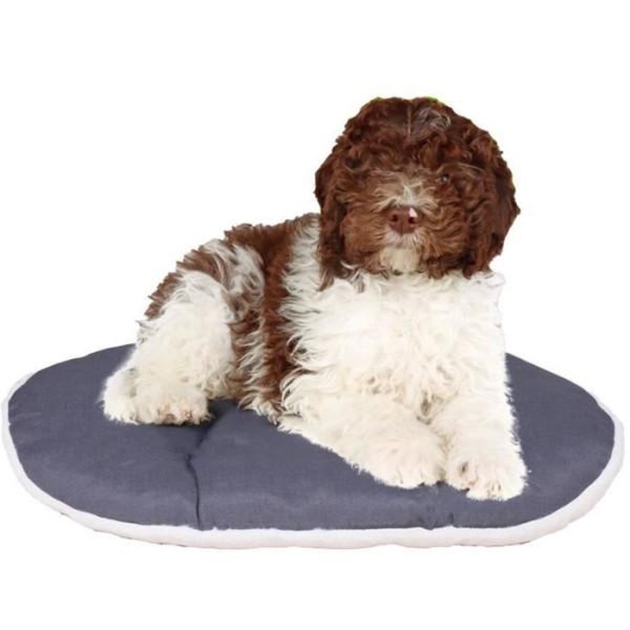 Voir la diapositive 6 : Ferplast Coussin - FERPLAST - RELAX 78/8 - 78 x 50 cm - Tissu et fourrure