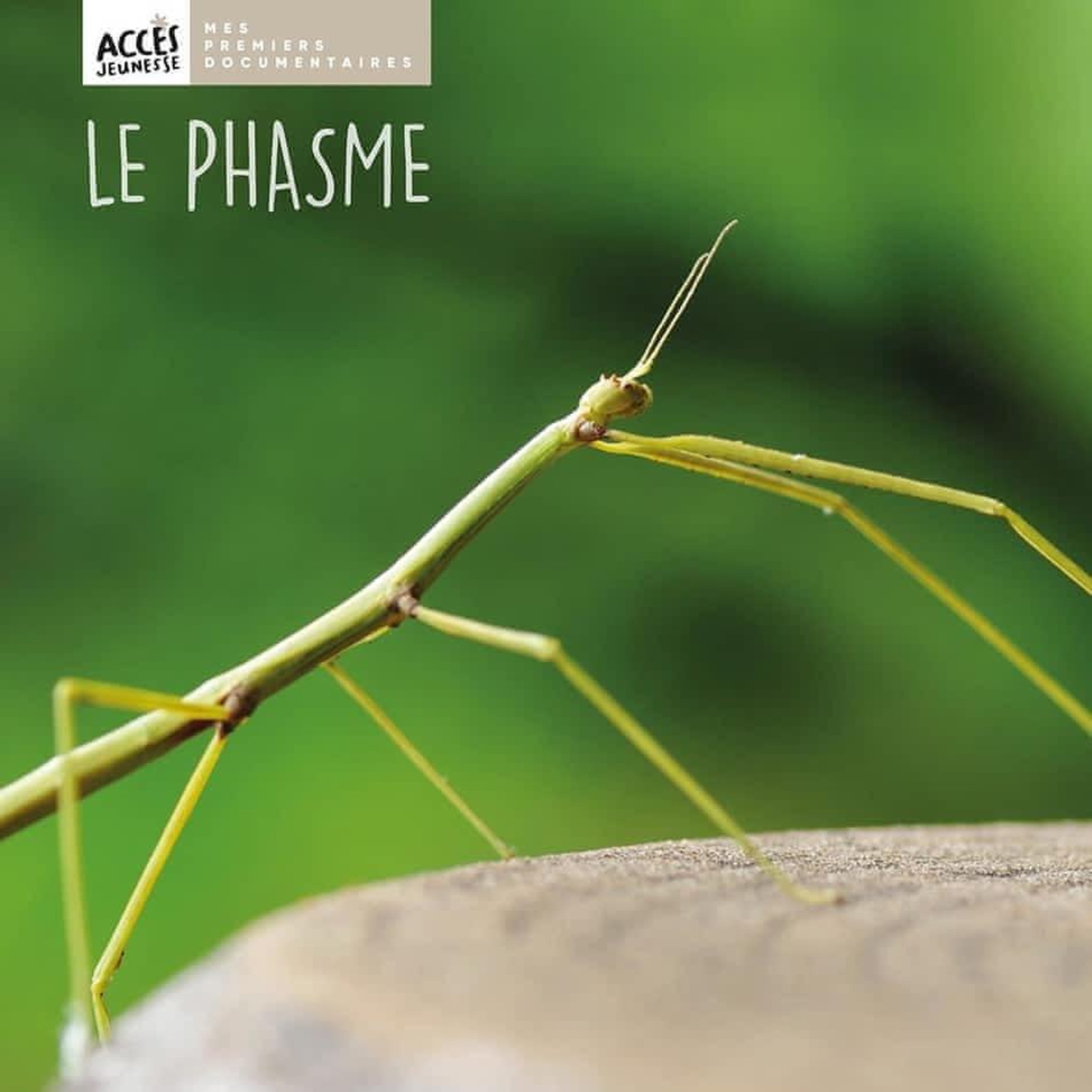 LE PHASME, Schneider Léa