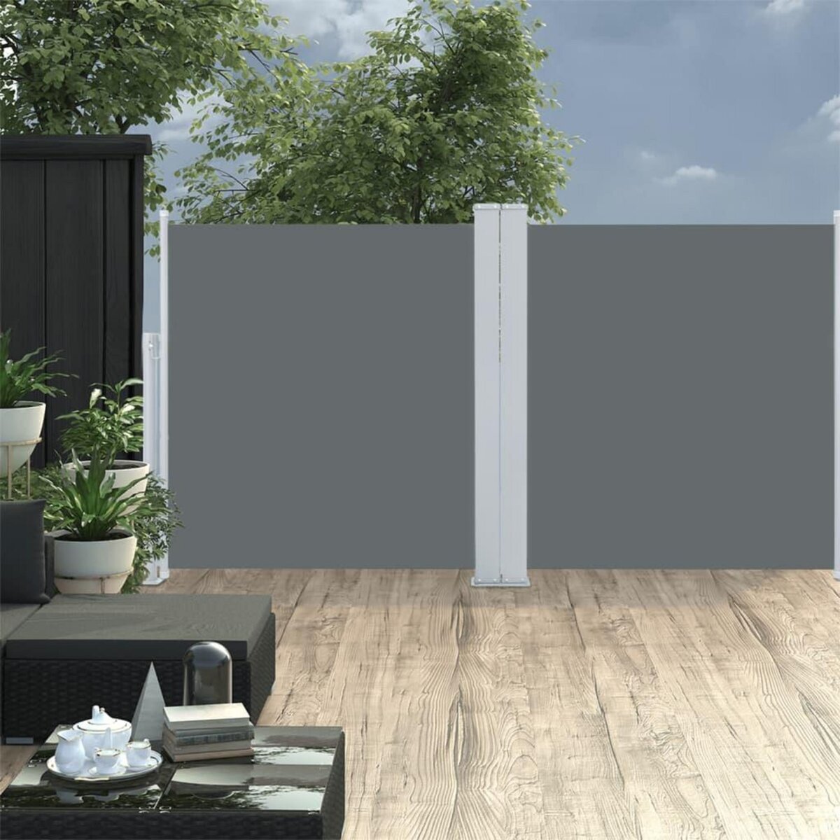 VIDAXL Auvent lateral retractable Anthracite 120 x 600 cm