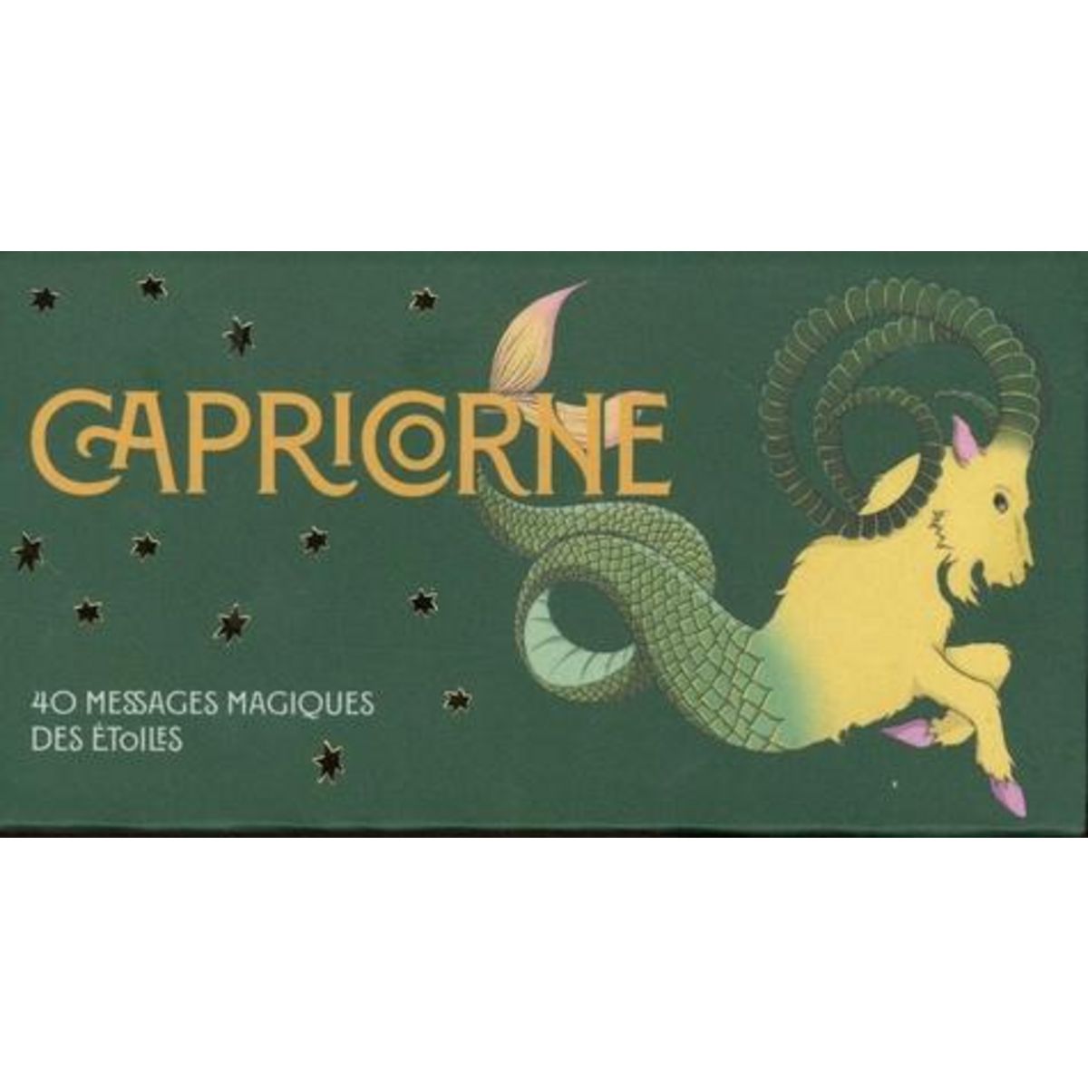 CAPRICORNE. 40 MESSAGES MAGIQUES DES ETOILES, Chiara Viola Ginny