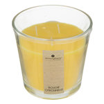 COMPTOIR DE LA BOUGIE Bougie Parfumée  Nina  500g Citron Jaune
