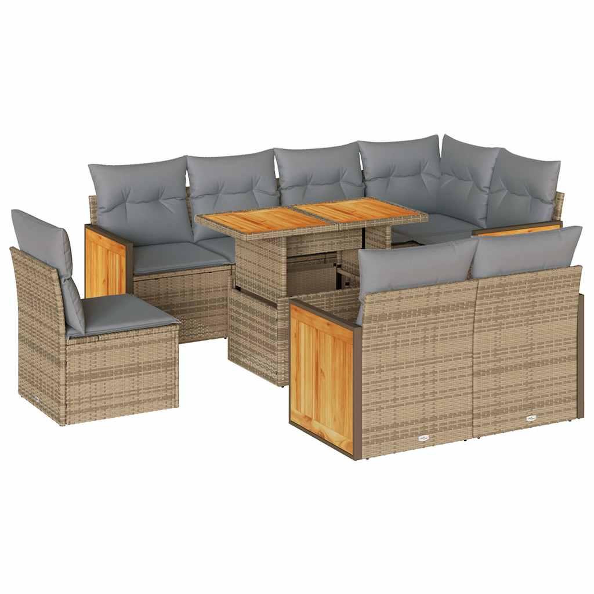 Voir la diapositive 2 : VIDAXL Salon de jardin avec coussins 9 pcs beige resine tressee acacia