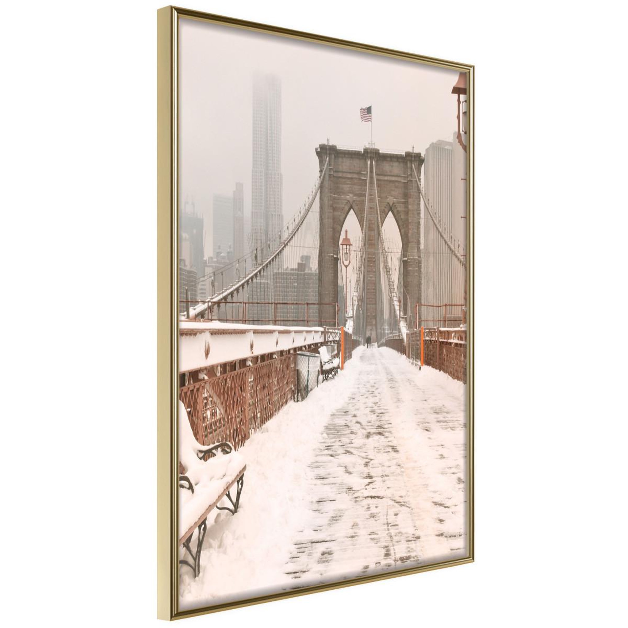 Paris Prix Affiche Murale Encadrée  Winter in New York