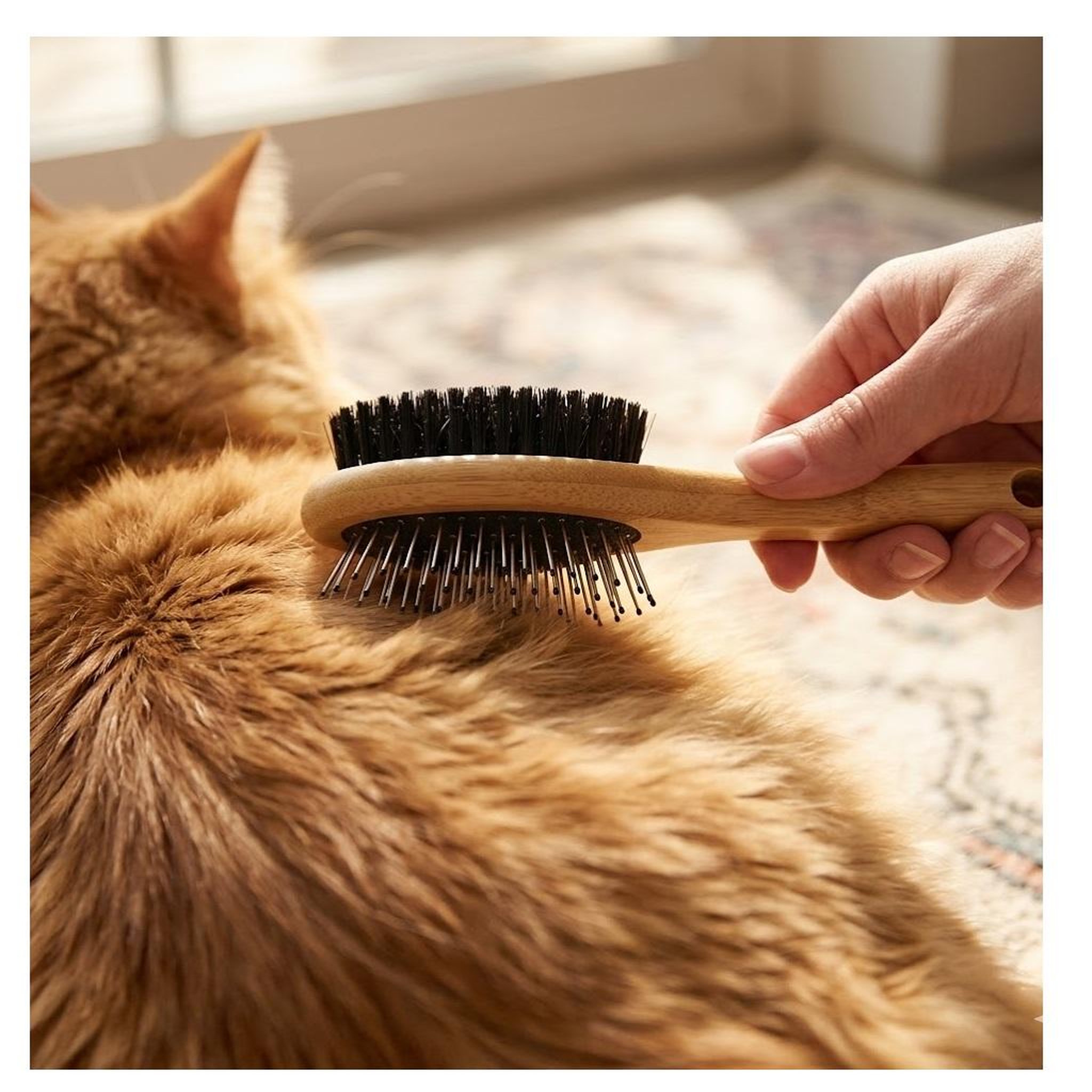 Voir la diapositive 3 : Eden Brosse a poils et picots babu en bambou pour chat