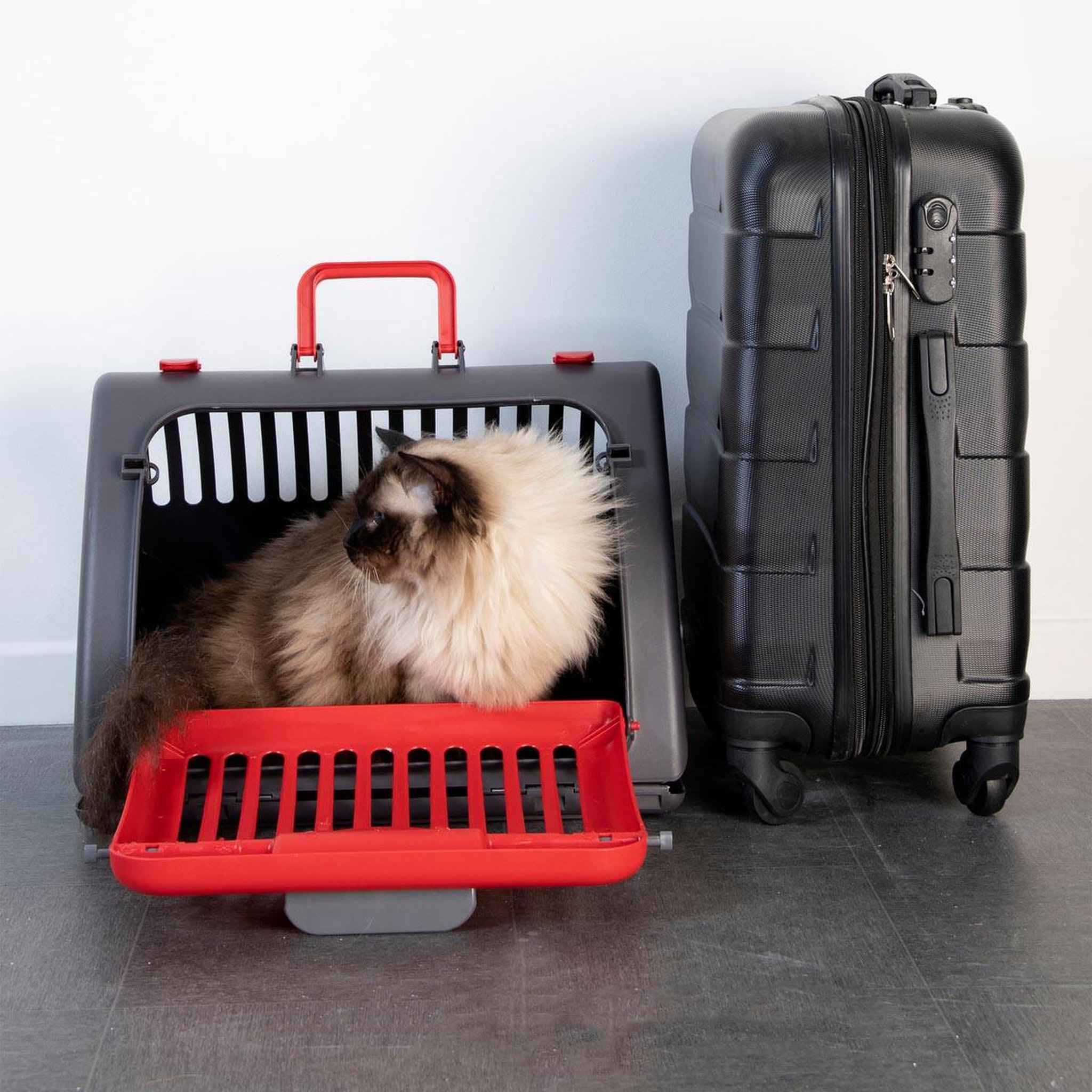 Voir la diapositive 4 : LOVE STORY Caisse de transport pour chat  pliable  46cm rouge