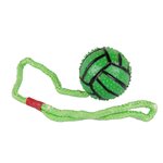 DIVERS Jouet pour chien - Balle avec anse - Vert