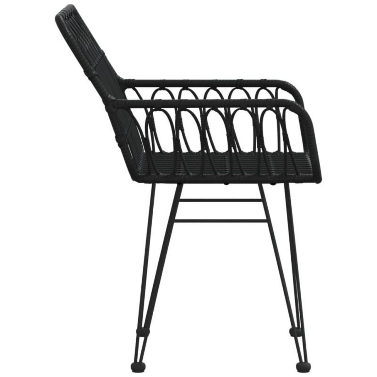 VIDAXL Chaises de jardin lot de 2 avec accoudoir Noir 56x64x80 cm