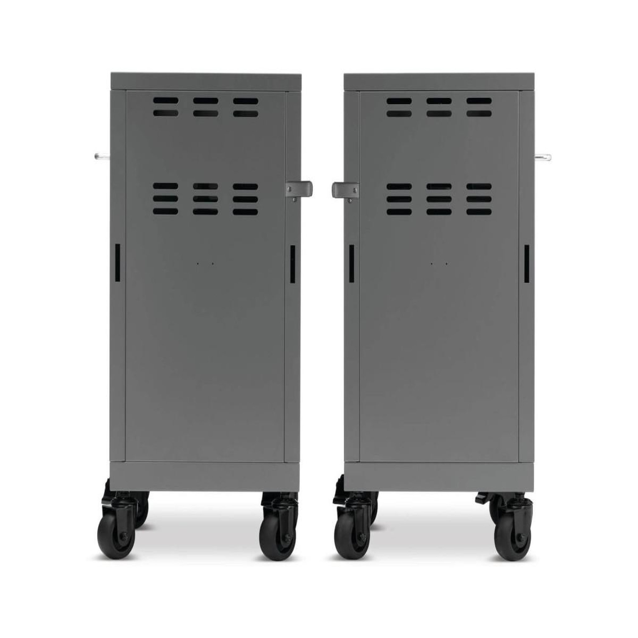 Voir la diapositive 3 : NAPOLEON 2 meubles de rangement sous la tablette bbq prestige inox - napoléon