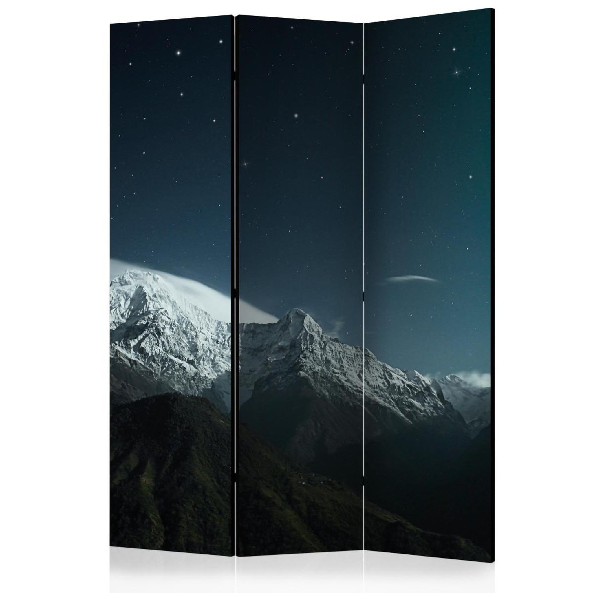 Paris Prix Paravent 3 volets  northern lights  135x172cm