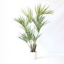 Voir la diapositive 6 : PLANT IN A BOX Kentia artificiel - Hauteur 150cm
