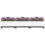 Voir la diapositive 3 : VIDAXL Lit sureleve 120x40x23 cm Polypropylene