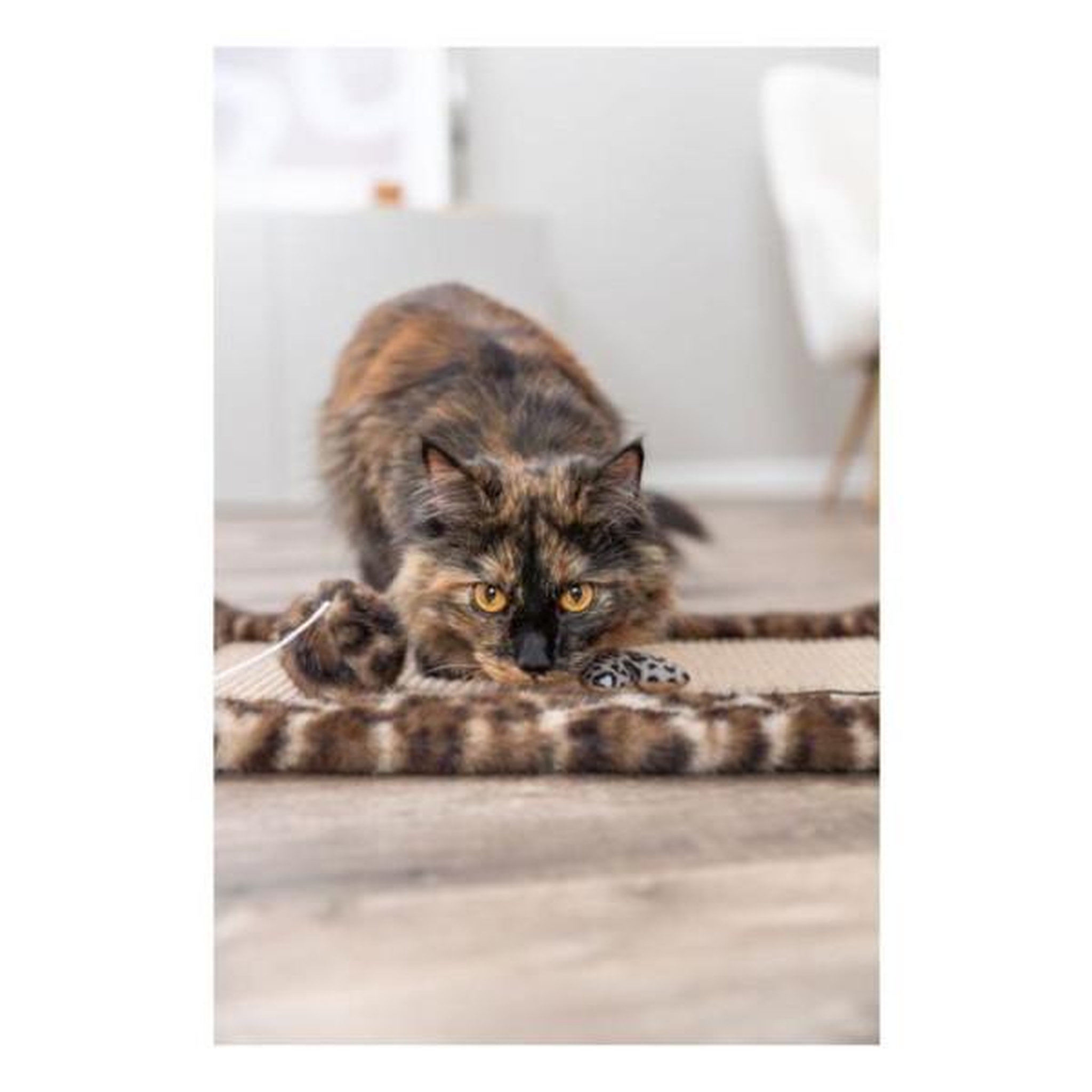 Voir la diapositive 4 : Trixie Tapis griffoir - TRIXIE - LEO - 55 x 35 cm - Brun imprimé léopard