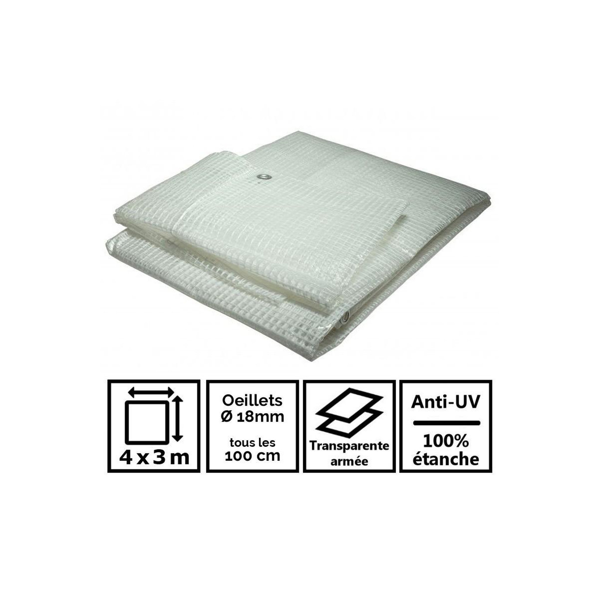Voir la diapositive 2 : Tecplast Bâche de jardin 4 x 3 m armée transparente en polyéthylène 170g/m2