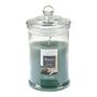 Voir la diapositive 1 : Paris Prix Bougie Parfumée Bocal  Essentiel II  15cm Thé Vert