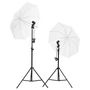 Voir la diapositive 2 : VIDAXL Kit de studio photo avec eclairage toile de fond et reflecteur