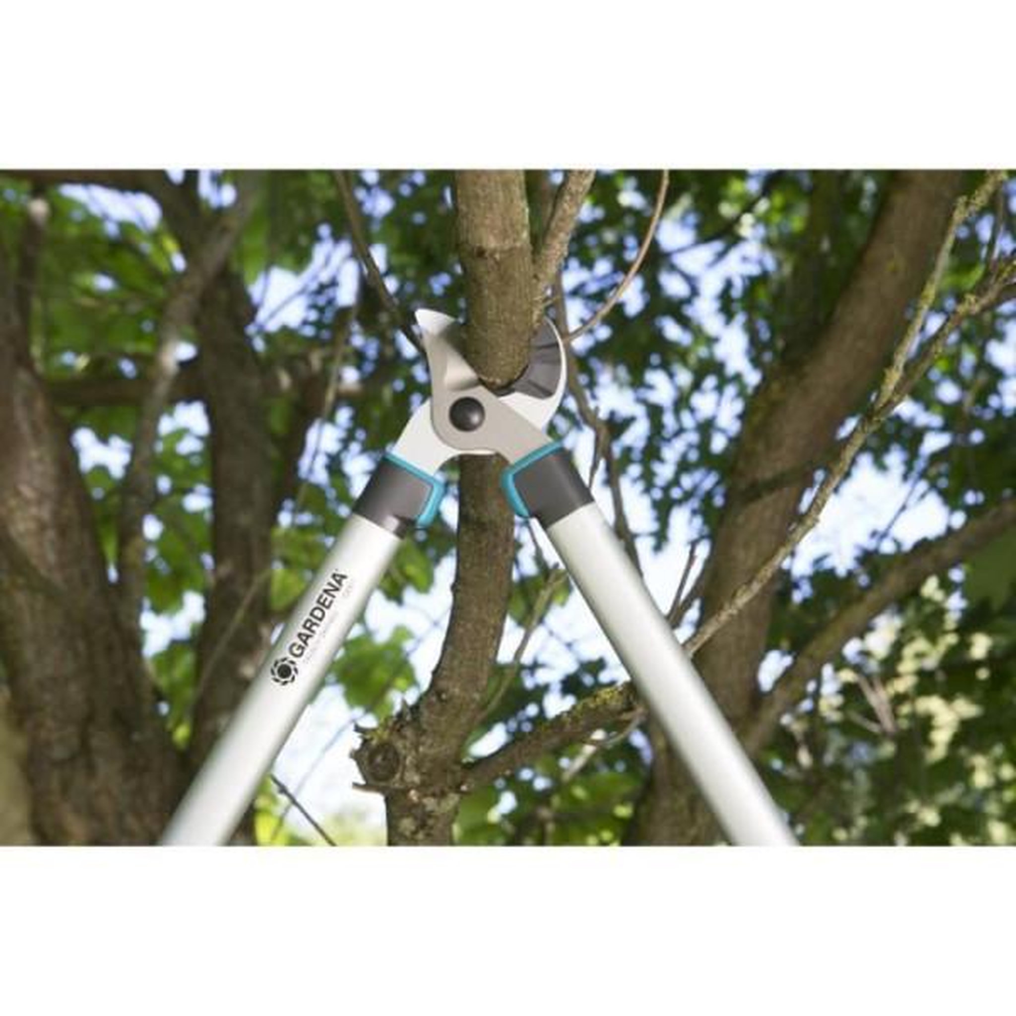 Voir la diapositive 2 : Gardena GARDENA Coupe-branches EasyCut 680 A – Lame a enclume affûtée – Coupe Ø40mm max – Anti adhérence – Garantie 25 ans (