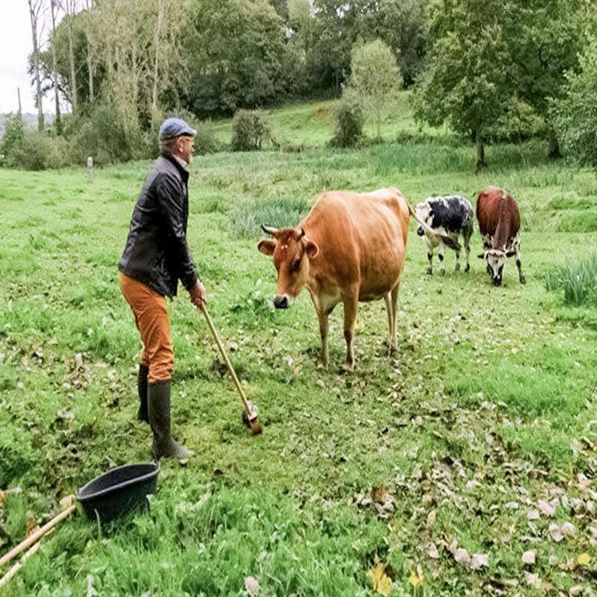 Voir la diapositive 2 : Smartbox Séance de golf originale parmi les animaux en normandie - coffret cadeau sport & aventure