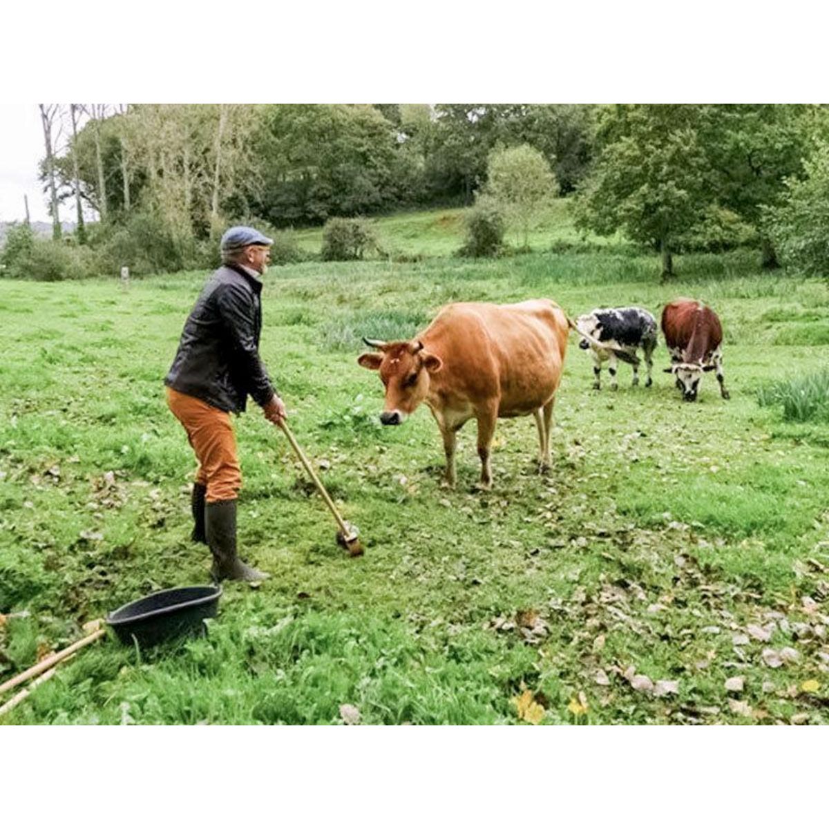 Smartbox Séance de golf originale parmi les animaux en Normandie - Coffret Cadeau Sport & Aventure