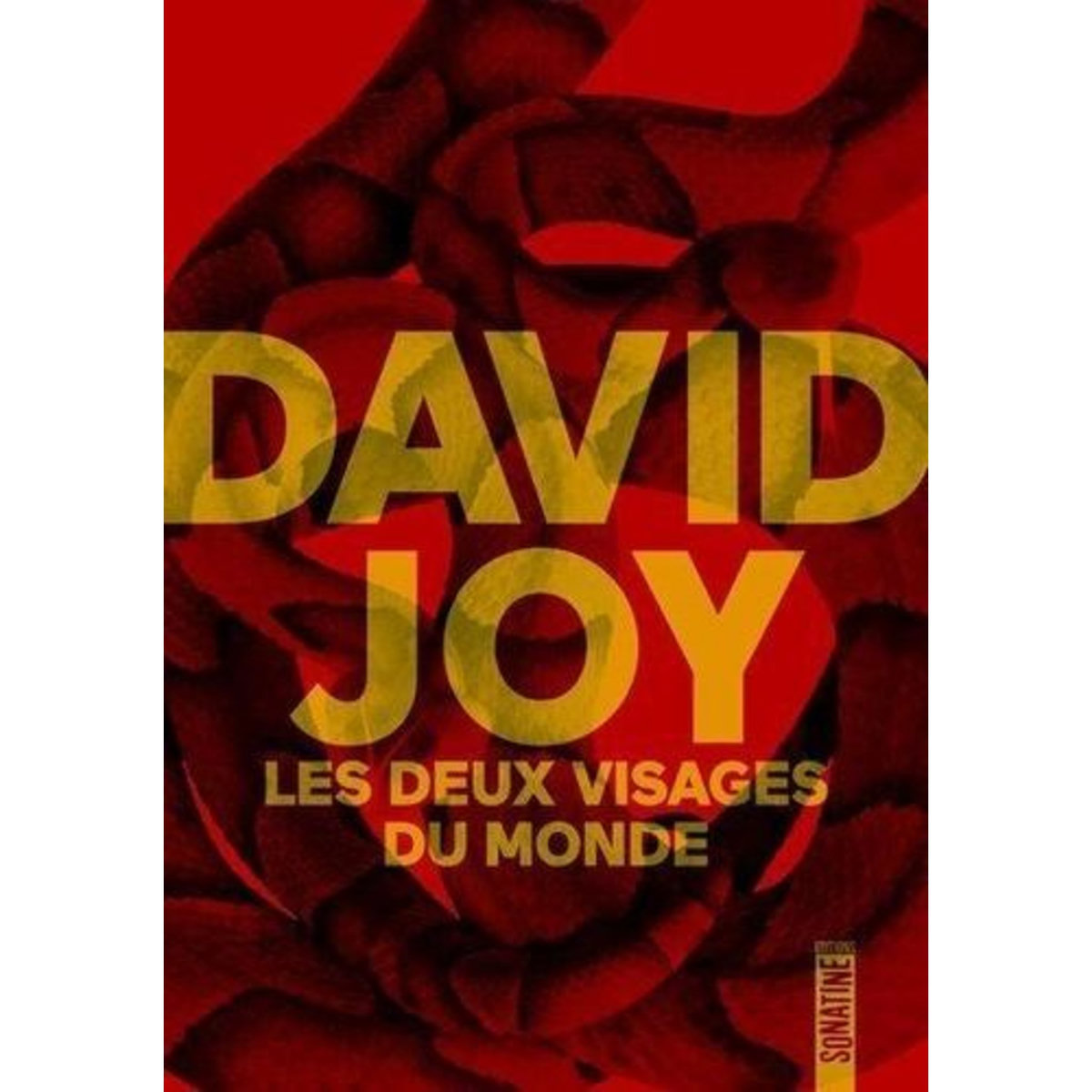 LES DEUX VISAGES DU MONDE, Joy David