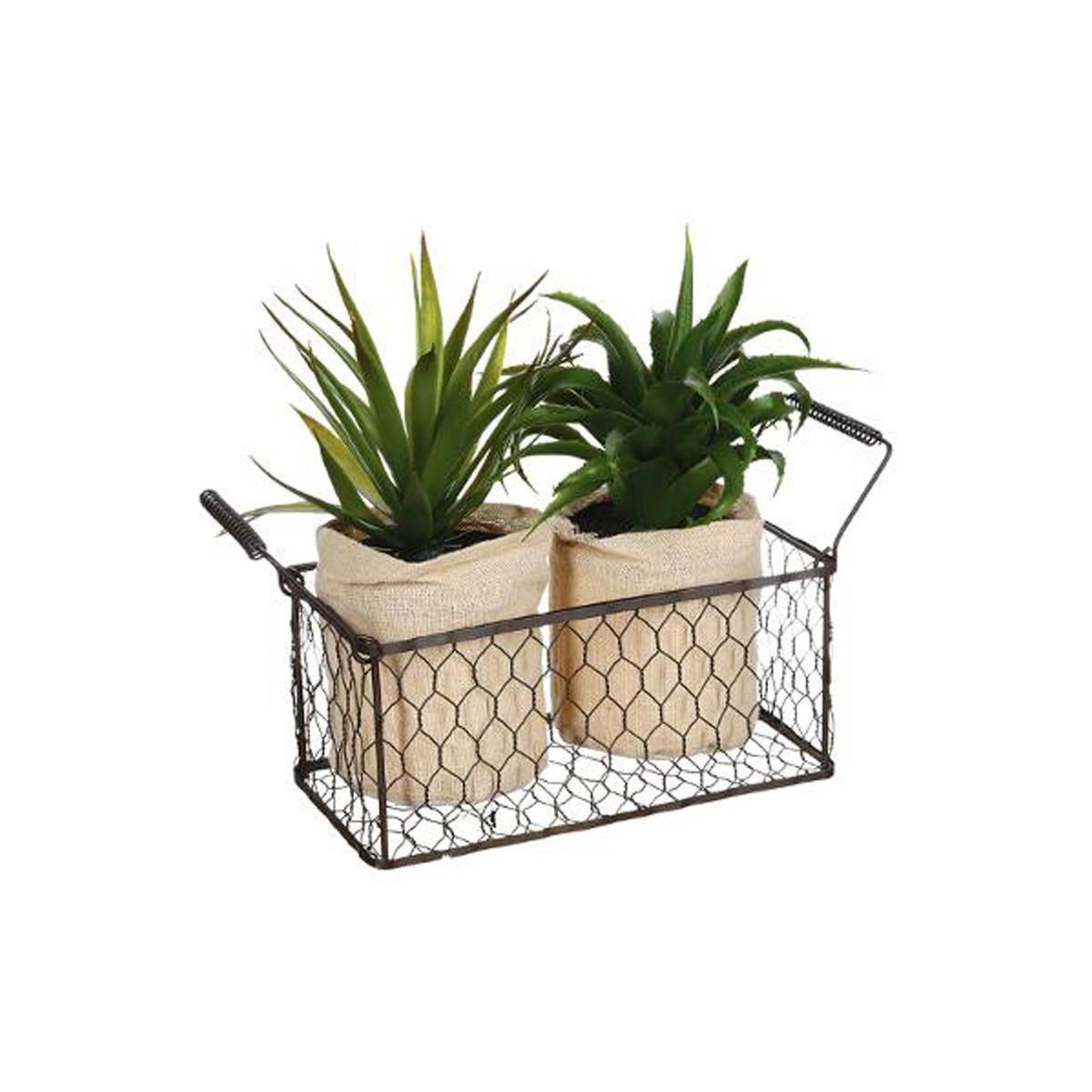 ATMOSPHERA Lot de 2 aloe vera & panier  well  23cm vert