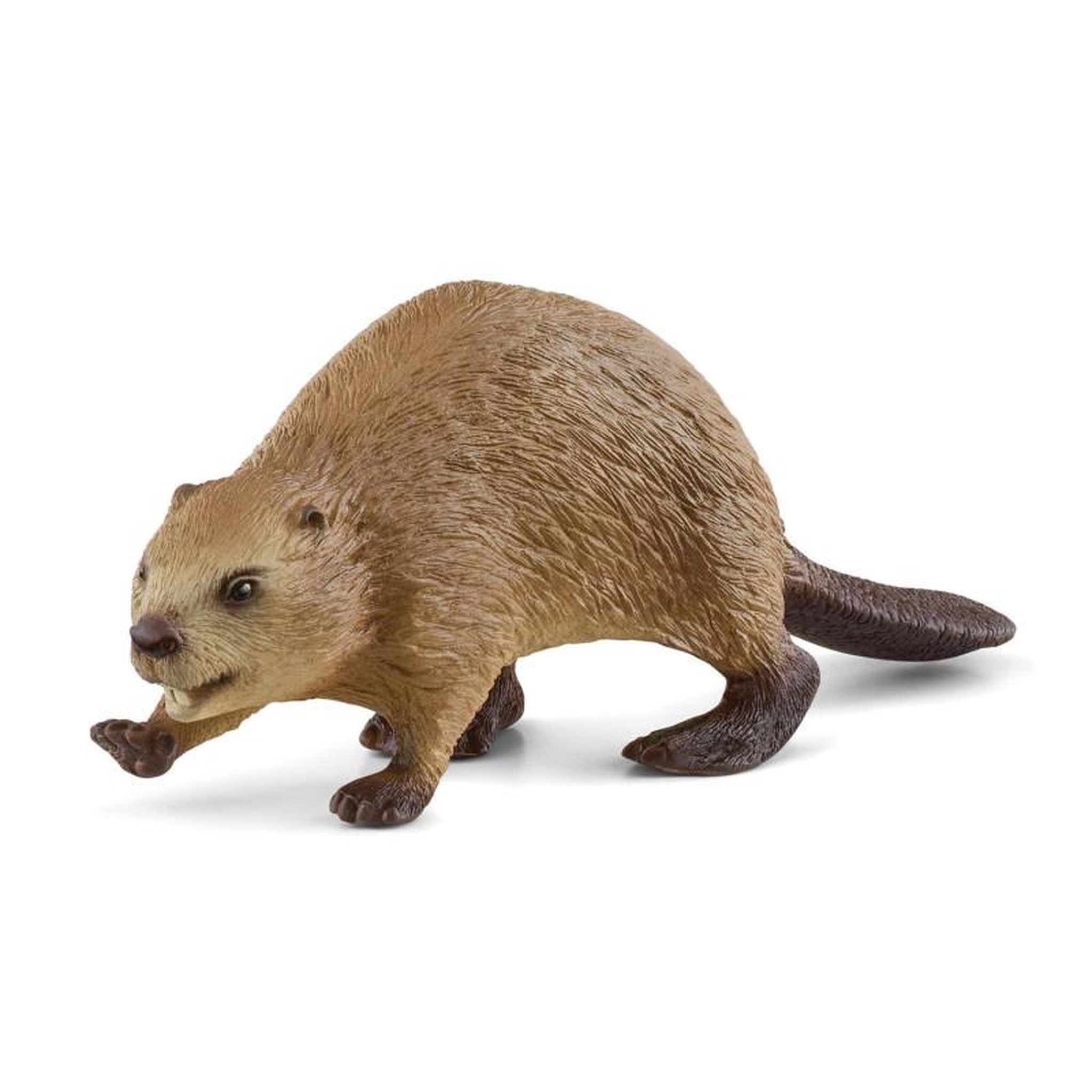 Schleich Schleich Beaver 14855