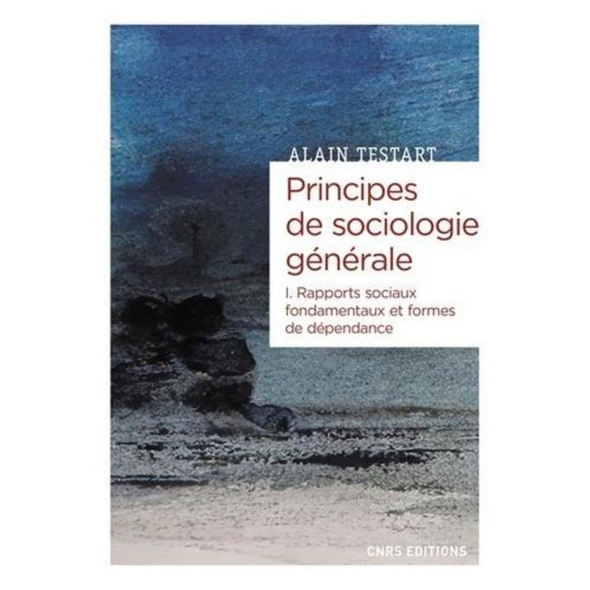 PRINCIPES DE SOCIOLOGIE GENERALE. TOME 1, RAPPORTS SOCIAUX FONDAMENTAUX ET FORMES DE DEPENDANCE, Testart Alain