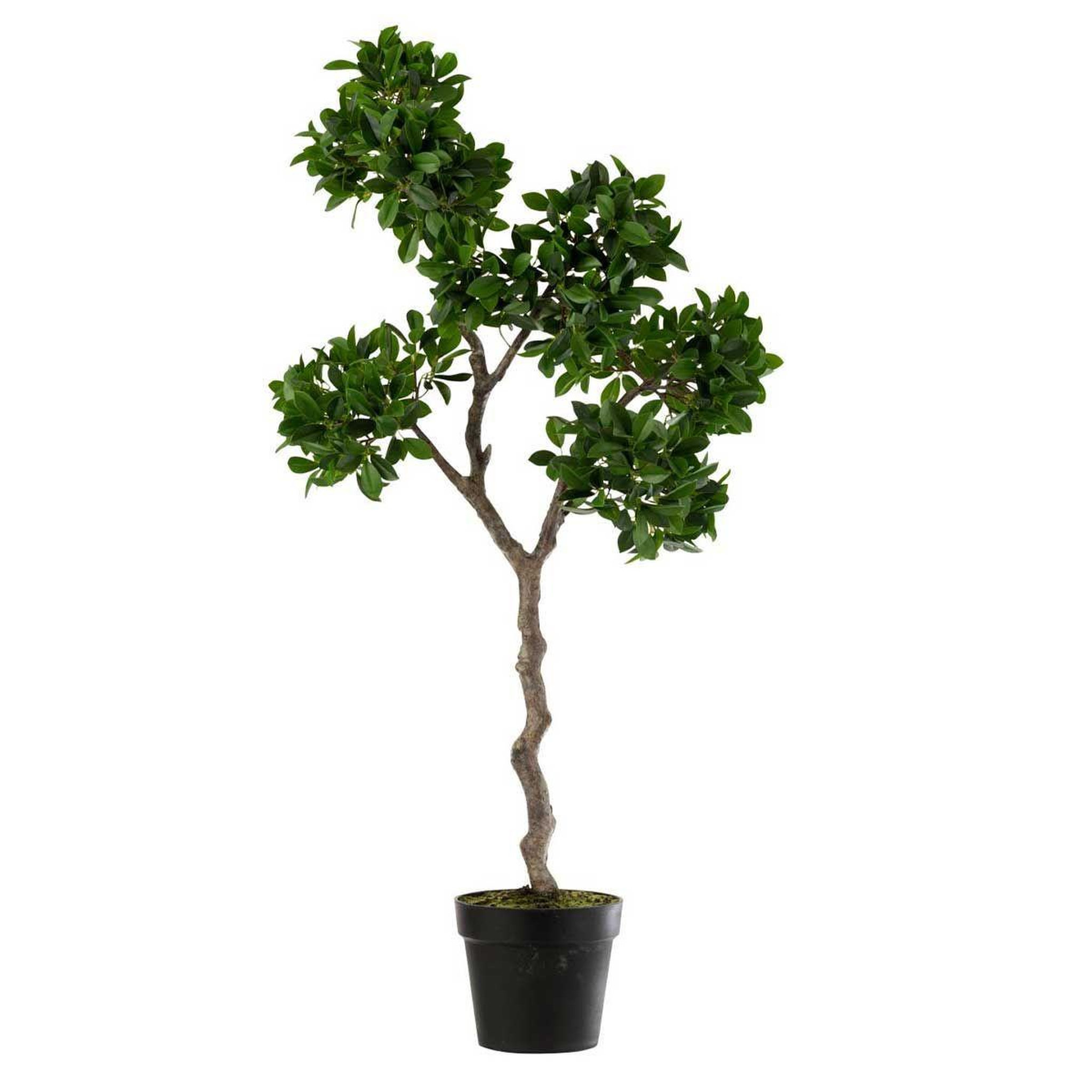 Voir la diapositive 1 : J-LINE Plante artificielle en pot  ficus  37cm vert