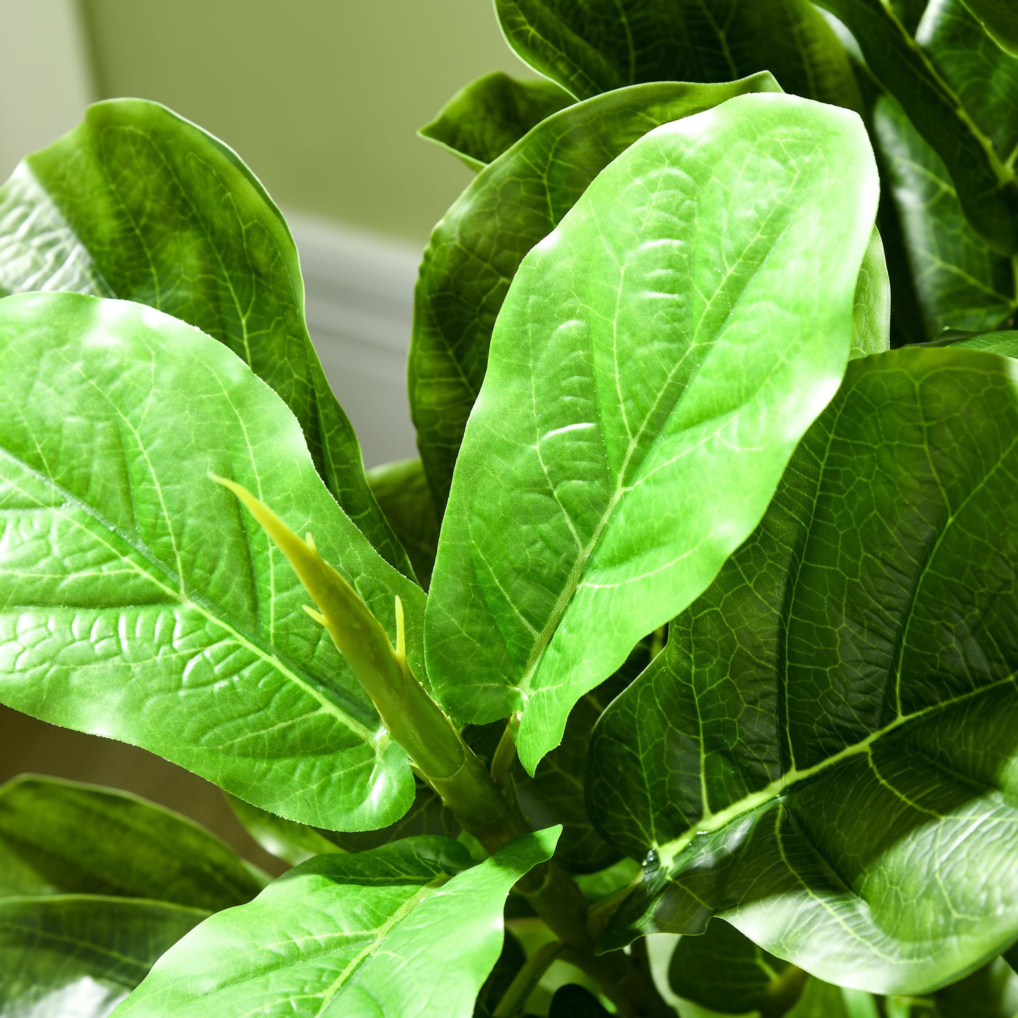 Voir la diapositive 5 : HOMCOM Ficus Lutea artificiels 1,80H m - lot de 2 ficus artificiels - 120 feuilles réalistes par pied - pot inclus noir vert
