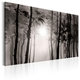 Multicolore